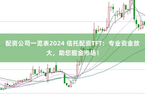 配资公司一览表2024 信托配资TFT：专业资金放大，助您掘金市场！