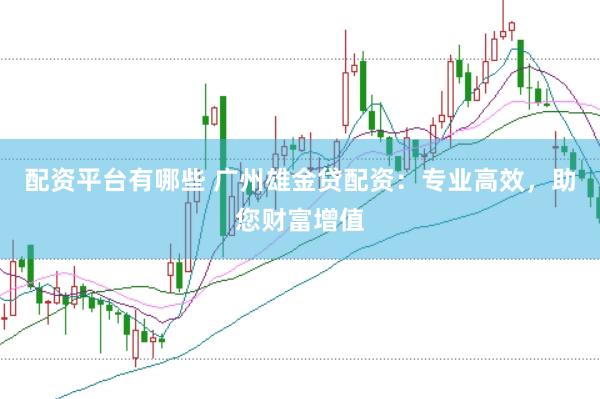 配资平台有哪些 广州雄金贷配资：专业高效，助您财富增值