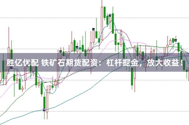 胜亿优配 铁矿石期货配资：杠杆掘金，放大收益！