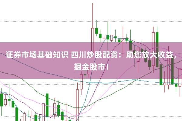 证券市场基础知识 四川炒股配资：助您放大收益，掘金股市！