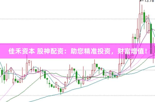 佳禾资本 股神配资：助您精准投资，财富增值！