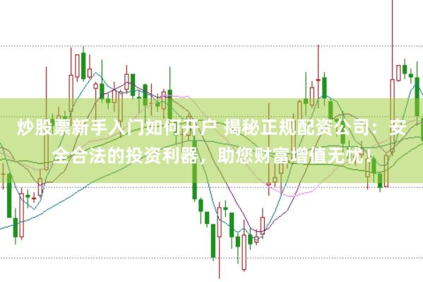 炒股票新手入门如何开户 揭秘正规配资公司：安全合法的投资利器，助您财富增值无忧！