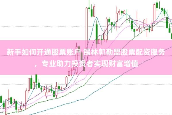 新手如何开通股票账户 锡林郭勒盟股票配资服务,专业助力投资者实现财富增值