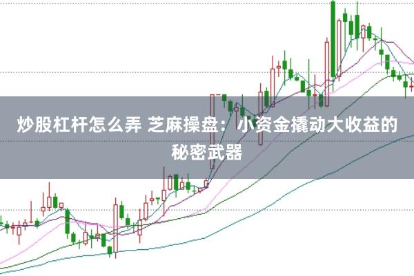 炒股杠杆怎么弄 芝麻操盘:小资金撬动大收益的秘密武器